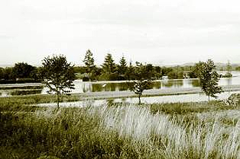 Kožušany-Tážaly - povodeň červenec 1997